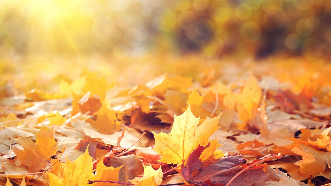 Achtergrondafbeelding