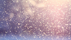 Winter Collection 2024