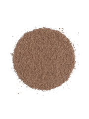 Bronzer Chocolate Brownie